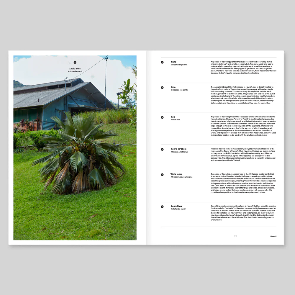 [MAGAZINE B] ISSUE #91 HAWAII - Image 3